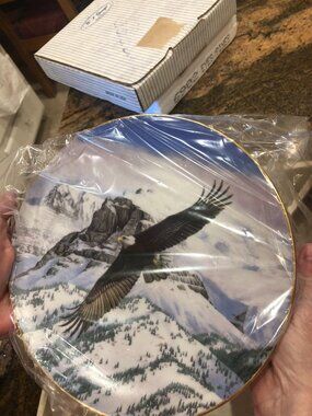 Hamilton Collection “The Eagle Soars” Plate – Thomas Hirata – Limited Edition